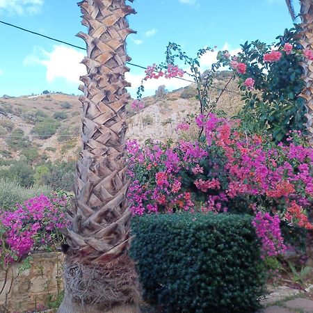 Heraklion Comfy House With Mountain View Ngoại thất bức ảnh