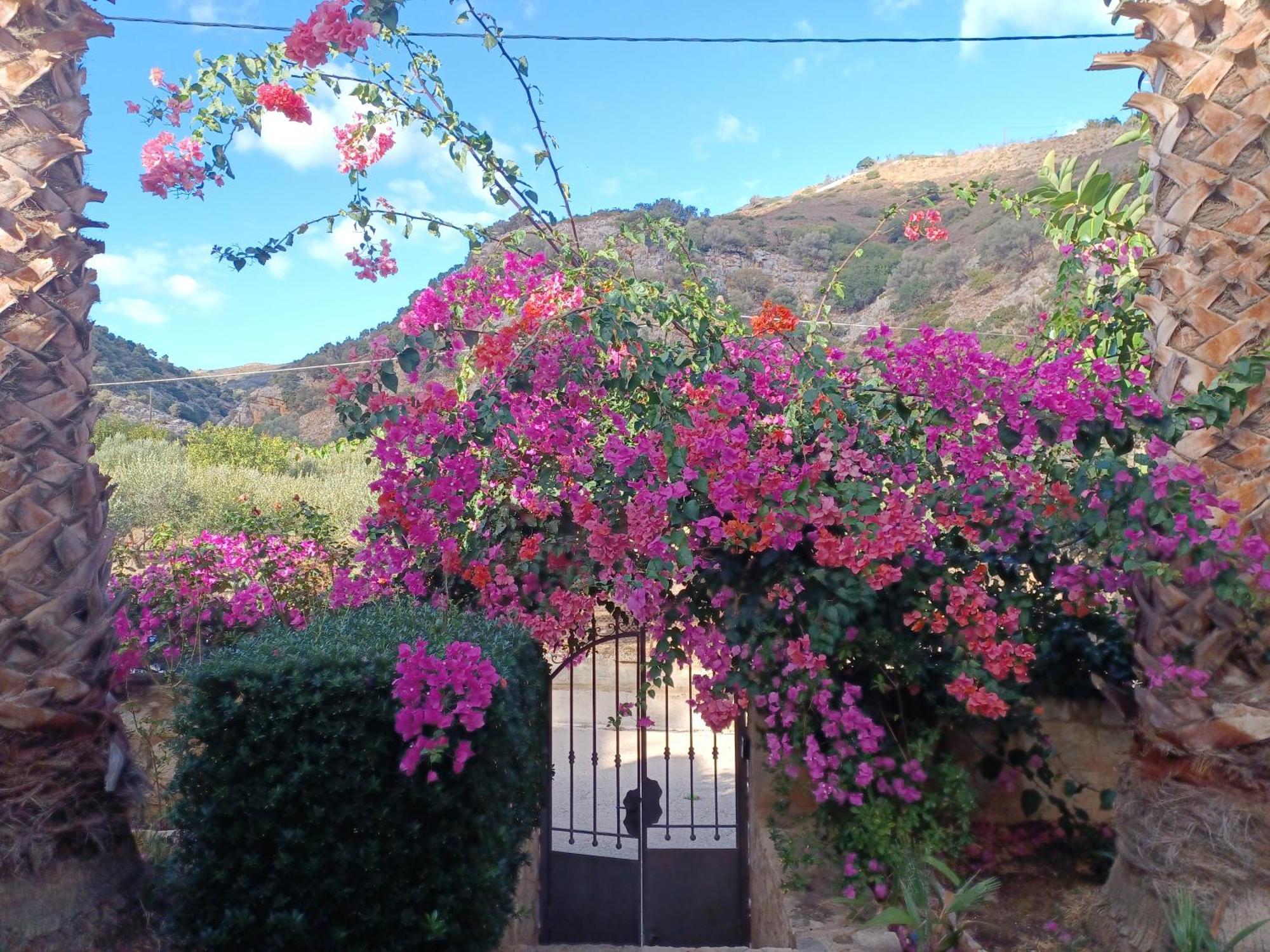 Heraklion Comfy House With Mountain View Ngoại thất bức ảnh
