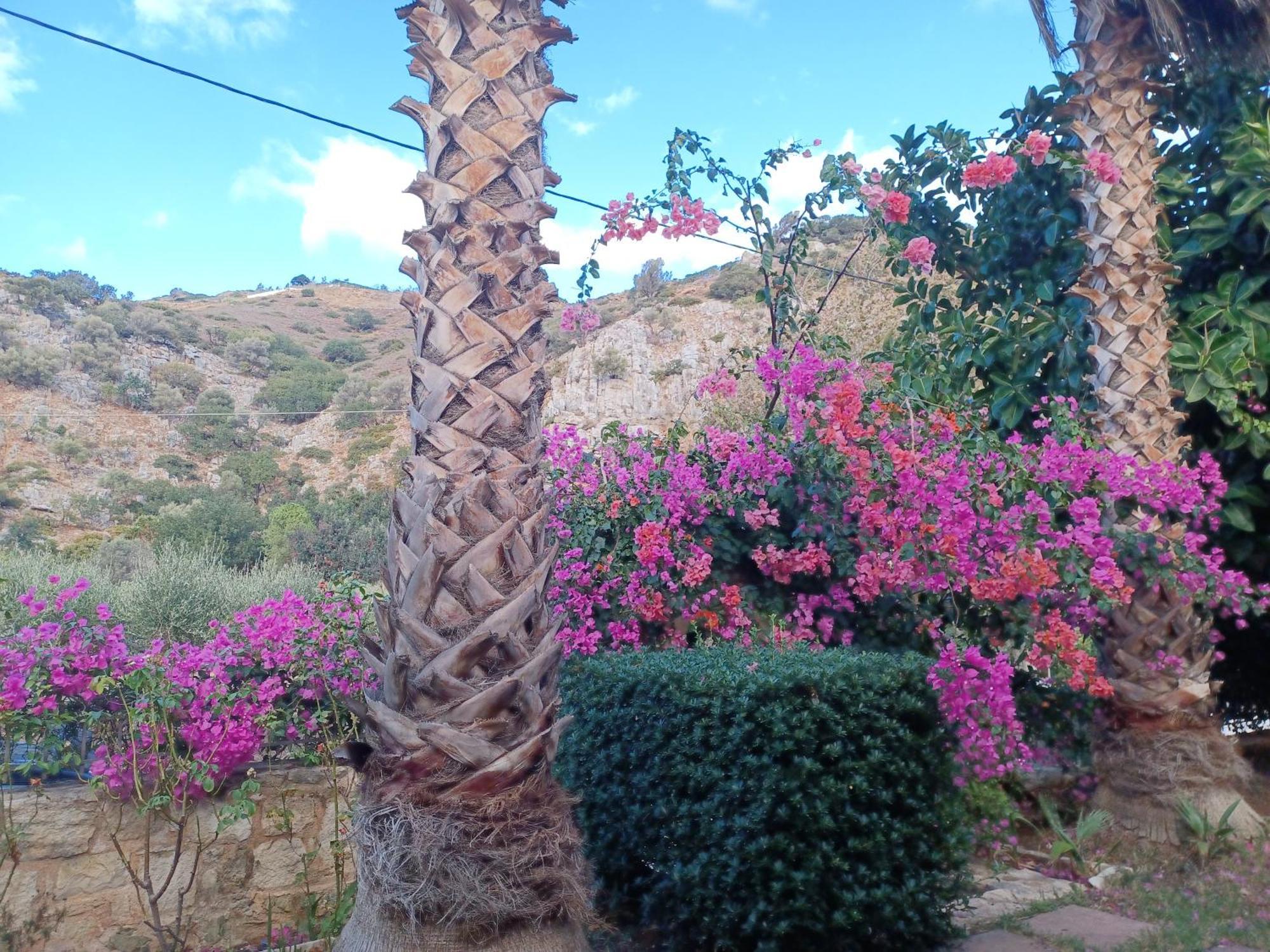 Heraklion Comfy House With Mountain View Ngoại thất bức ảnh